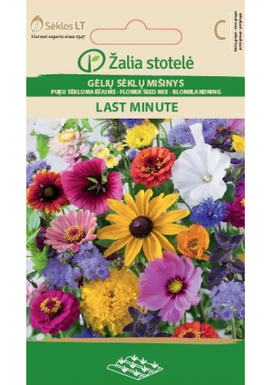 Nyári virág mix keverék Last Minute Z.S SL