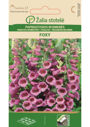 Gyűszűvirág Foxy Z.S SL