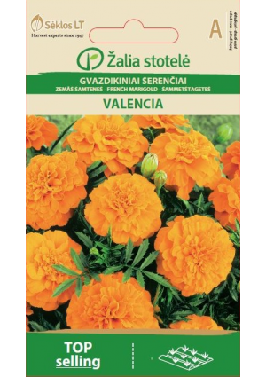 Büdöske Valencia Z.S SL