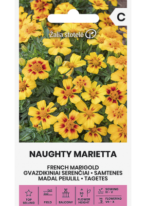 Büdöske Naughty Marietta Z.S SL