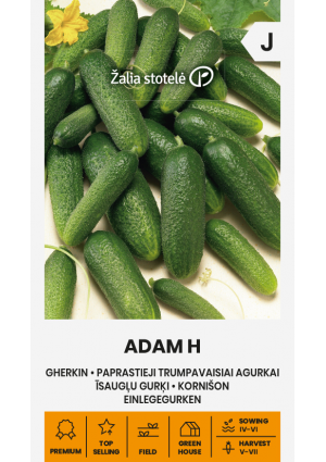 Uborka Adam Hibrid Z.S SL