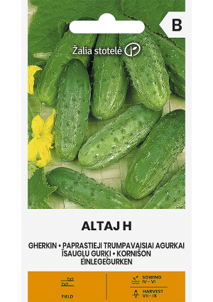 Uborka Altaj Hibrid Z.S SL