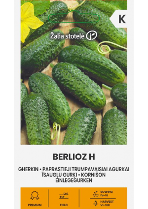 Uborka Berlioz Hibrid Z.S SL