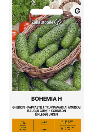 Uborka Bohemia Hibrid Z.S SL