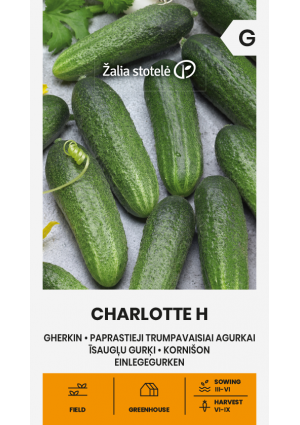 Uborka Charlotte Hibrid Z.S SL