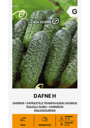 Uborka Dafne Hibrid  Z.S SL