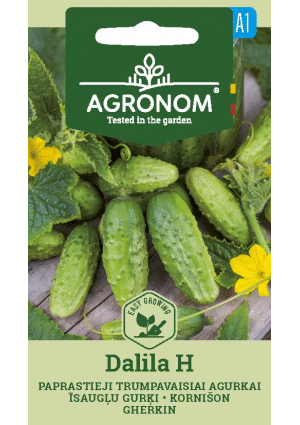 Uborka Dalila H AGR SL