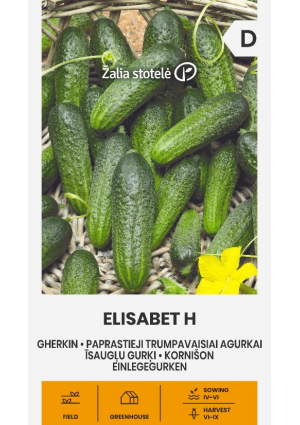 Uborka Elisabet Hibrid Z.S SL