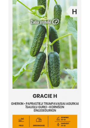 Uborka Gracie Hibrid Z.S SL