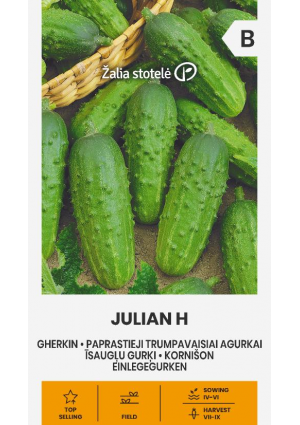 Uborka Julian Hibrid Z.S SL