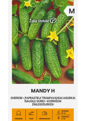 Uborka Mandy Hibrid Z.S SL