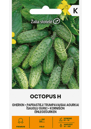 Uborka Octopus Hibrid Z.S SL