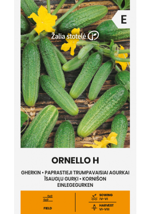 Uborka Ornello Hibrid Z.S SL