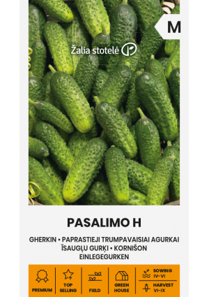 Uborka Pasalimo Hibrid Z.S SL