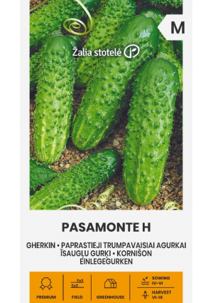 Uborka Pasamonte Hibrid Z.S SL