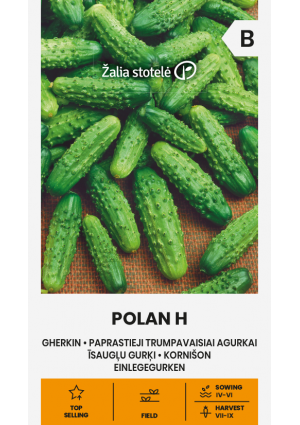 Uborka Polan Hibrid Z.S SL