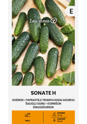 Uborka Sonate Hibrid Z.S SL