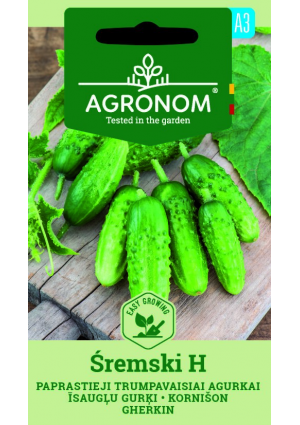 Uborka ŚREMSKI Hibrid SL AGR