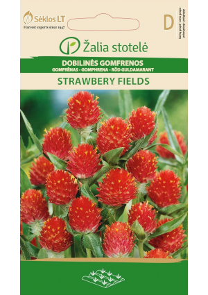 Bíborka  Strawbery fields  Z.S SL