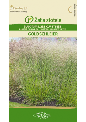 Gyepes sédbúza Goldschleier Z.S SL