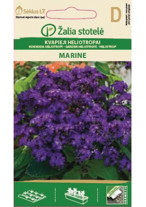 Kerti vaníliavirág  Marine Z.S SL