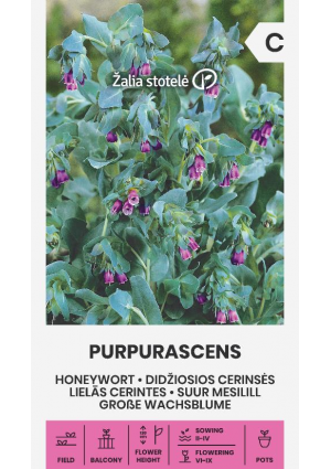 Mézfű Szeplőlapú Purpurascens Z.S SL