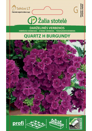 Verbena Quartz H Burgundy Z.S SL
