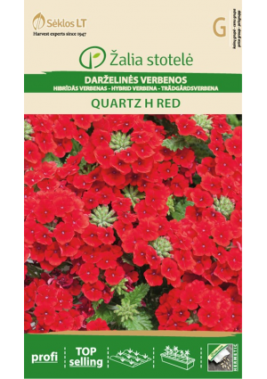 Verbena Quartz Red Z.S SL