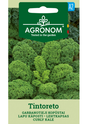 Fodros kel Tintoreto SL AGR