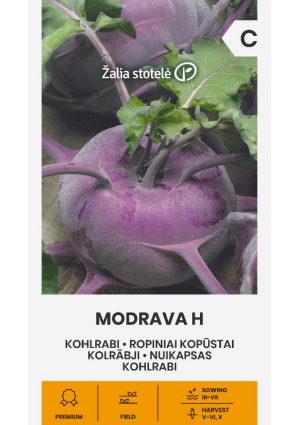 Karalábé Modrava Hibrid Z.S SL