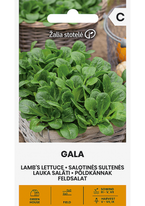 Galambbegy salàta Gala  Z.S SL