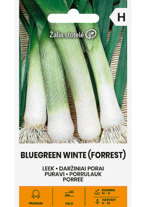 Póréhagyma Bluegreen Winte (Forrest) Z.S SL