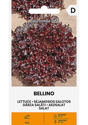 Saláta Bellino Z.S SL