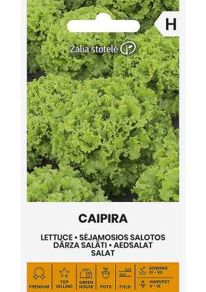 Saláta Caipira Z.S SL