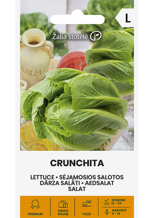 Saláta Crunchita Z.S SL