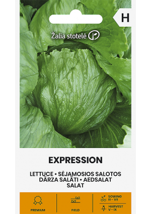 Saláta Expression Z.S SL