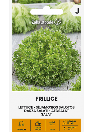 Saláta Frillice Z.S SL