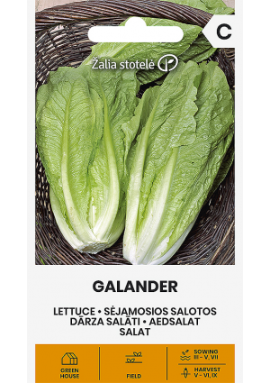 Saláta Galander Z.S SL