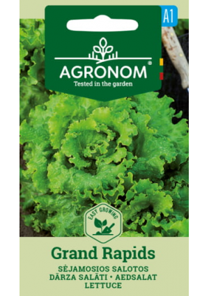 Saláta Grand Rapids SL AGR