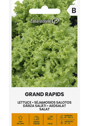 Saláta Grand Rapids Z.S SL