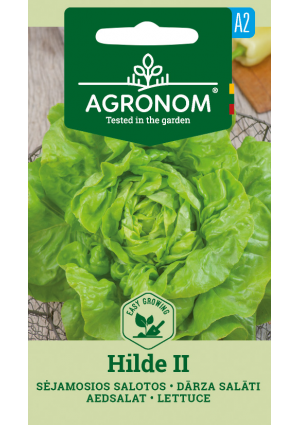 Saláta Hilde II SL AGR