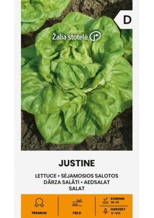 Saláta Justine Z.S SL