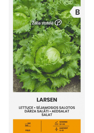 Saláta Larsen Z.S SL