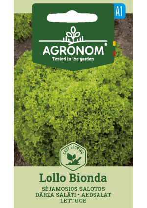 Saláta Lollo Bionda SL AGR