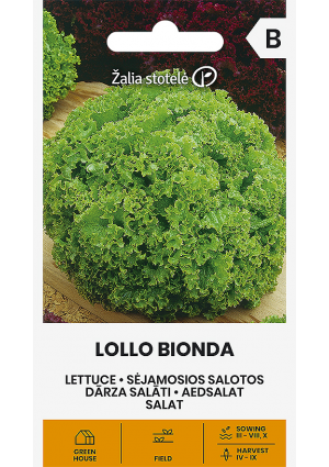 Saláta Lollo Bionda Z.S SL