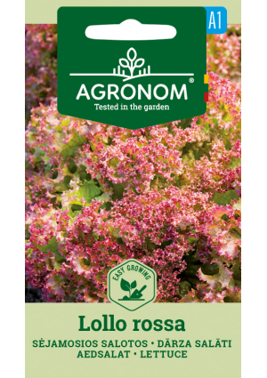 Saláta Lollo Rossa SL AGR
