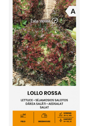 Saláta Lollo Rossa Z.S SL