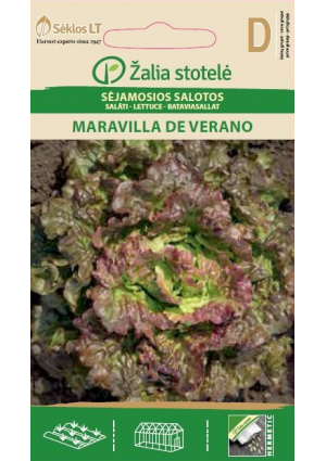 Saláta Maravilla De Verano Z.S SL