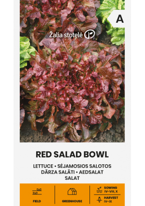Saláta Red Salad Bowl Z.S SL
