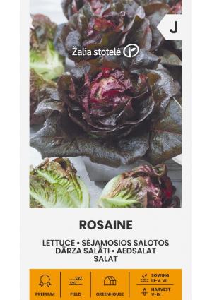 Saláta Rosaine Z.S SL